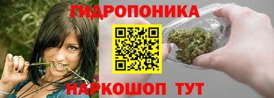 мдпв Нальчик