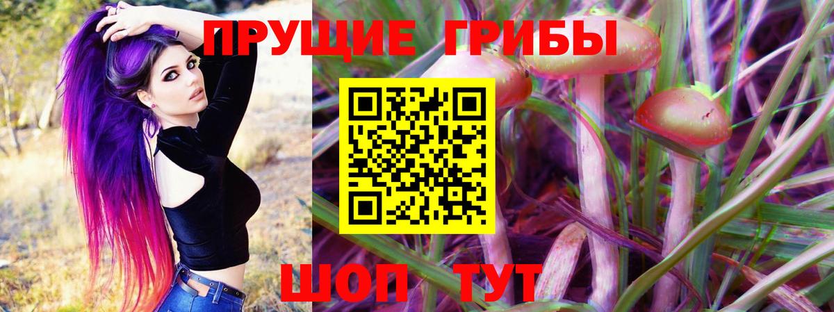 Галлюциногенные грибы Psilocybe  наркотики  Углич  Вход с VPN 